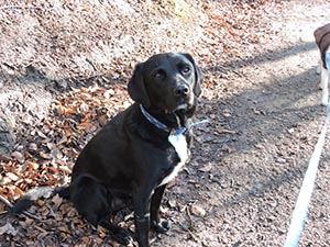 January 2017 Photo 13